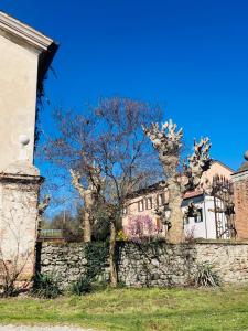 Stanza in Appartamento colli terme