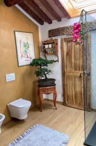 Stanza in Appartamento colli terme