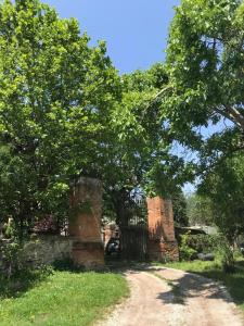 Stanza in Appartamento colli terme