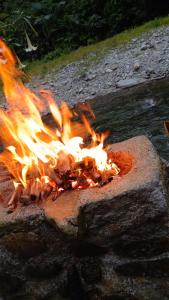 Green View Homestay & Jungle Trekking!