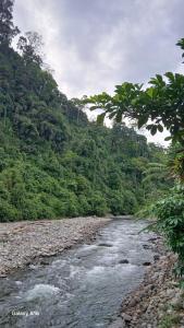 Green View Homestay & Jungle Trekking!
