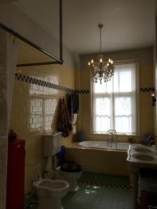 Luxury Apartment In Heart of City