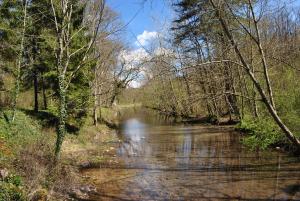 B&B / Chambres d'hotes Chateau La Touanne Loire valley : photos des chambres