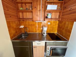 Appartement vue mer et montagne - 4 pers. - FR-1-837-128