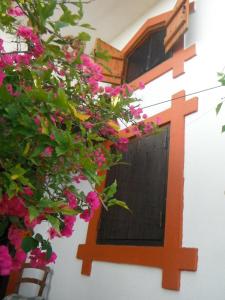Villa Marigo Skiathos Greece