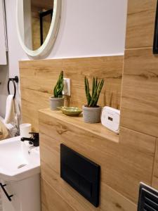 Apartament w samym centrum!