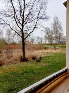 Apartament w samym centrum!