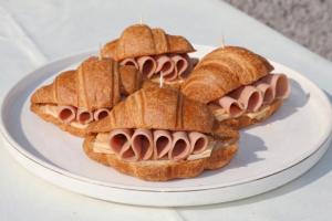 Shkoder Global Guest city center