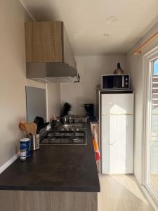 Mobil home spacieux 5 personnes à 15 min de Concarneau