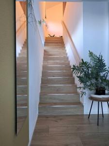 Apartment Romi