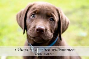 Ferienwohnung Freia - Gulfhof nahe Greetsiel mit Sauna, Garten & 3 Schlafzimmern