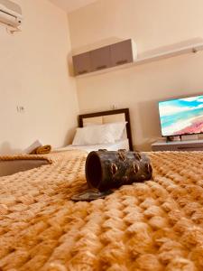 Apartment in the Heart of Shkodra