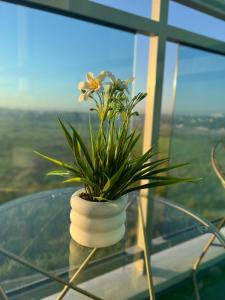 La Via Suite At Azure North Pampanga