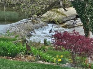 Tinker Creek 1 Bedroom Artist Suite