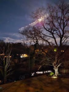 Tinker Creek 1 Bedroom Artist Suite