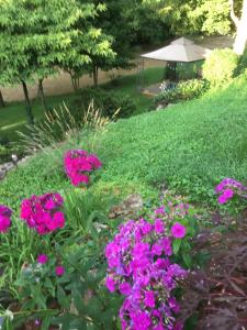 Tinker Creek 1 Bedroom Artist Suite