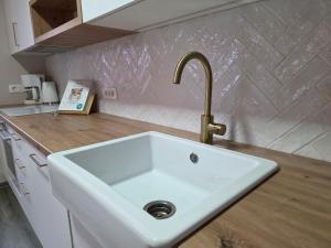 Private Villa with Pool near Opatija - Vila Natura