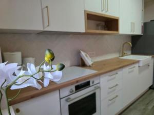 Private Villa with Pool near Opatija - Vila Natura