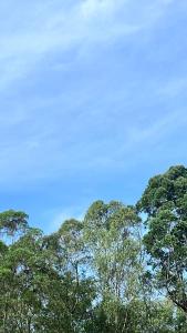 Apartamento 360 Popayan