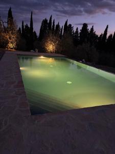 Georgias Home