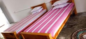 The surf hostel