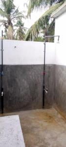 The surf hostel