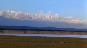 Mystic Vibes Fitness -Conscious Living Commune