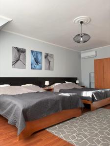 Forrásvölgy Apartmanok