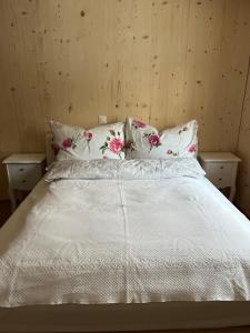 Cozy Alpine Home - Titlis Lift Just Steps Away