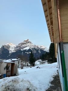 Cozy Alpine Home - Titlis Lift Just Steps Away
