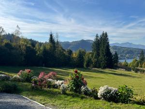 Căsuța din Pădure