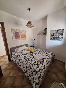 IL VIAGGIO DI COSIMO