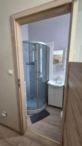 Mieszkanie na Grunwaldzkiej (44)