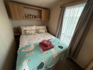 Cosy caravan in North Devon