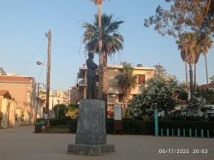 palm tree chania crete
