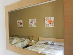 Actinia Accommodation