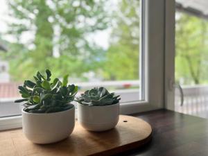 Ferienwohnung IMMI