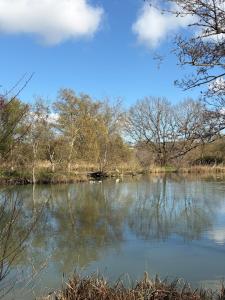Logement au bord de l eau