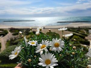 Studio plein sud le ciel le soleil et la mer
