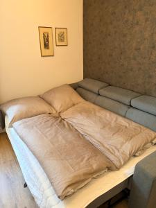 Altstadtnest - gemütliche Wohnung nahe der Burg