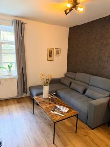 Altstadtnest - gemütliche Wohnung nahe der Burg