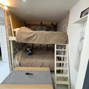 les conforts de Douai