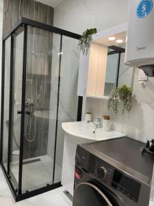 Central LEKS apartment