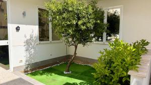 Duci Mondello Guesthouse