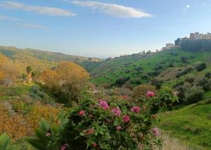 Lovely Two Bedroom Finca in Nature, near Malaga