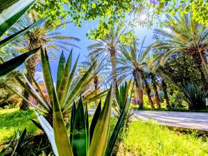 Las Palmeras Guest House