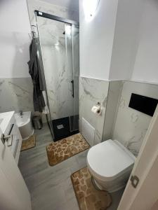 anca house bacau