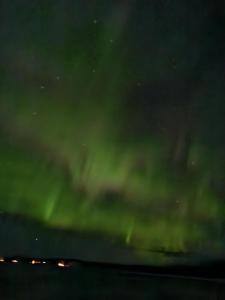 Nordic DeLight