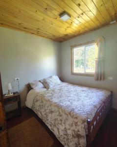 Cabaña la nonita, queule