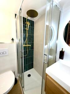 L Écrin d Émeraude avec Mezzanine, Toulouse